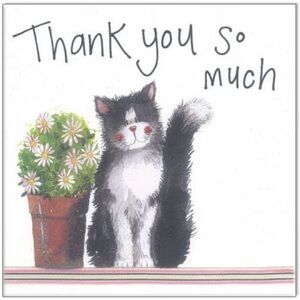 Bundle for @bluefairy555 🧚 🩵